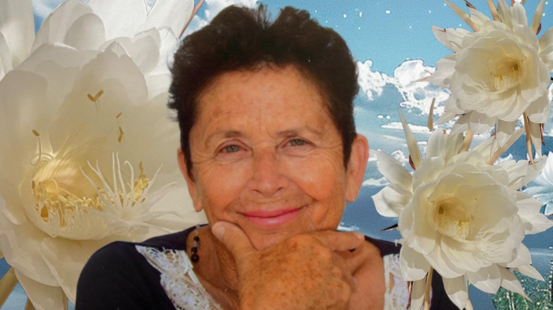 Embracing Transience: Witnessing the Queen of the Night Blossom